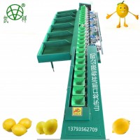 四川柠檬分选大小机器 柠檬果蔬产后分选处理设备 柠檬选果机