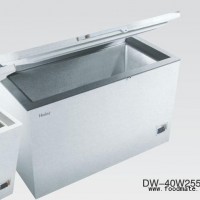 低温保存箱-40度冰箱DW-40W255