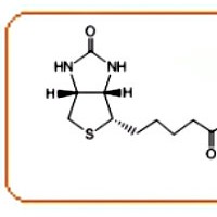 羧基聚乙二醇生物素