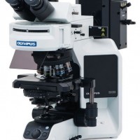 奥林巴斯显微镜bx53