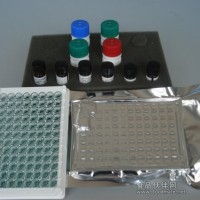 热休克蛋白60elisa,小鼠(Hsp-60）Elisa试剂盒