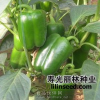 进口长方椒种子-绿色甜椒种子-鼎威