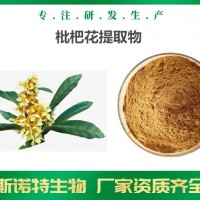 枇杷花提取物 厂家可定制枇杷花提取液