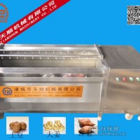 黑龙江哈尔滨螺旋土豆毛辊清洗机