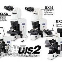 OLYMPUS显微镜BX43|BX43双目生物显微镜