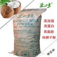 纯椰浆 椰子粉 高纯度椰粉 冲调饮料  椰粉原料 进口椰粉