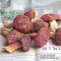 福建武夷山特产红菇200g