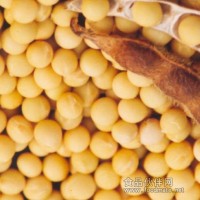 大豆甙元|大豆苷元|大豆黄素|黄豆甙元|黄豆苷元|Daidzein