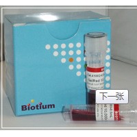 GelRed 41003 Biotium