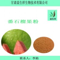 番石榴黄酮10% 番石榴提取物