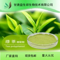 绿茶提取物10:1  1kg起订  茶多酚