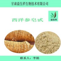 西洋参皂甙 80% 西洋参提取物厂家 西洋参皂苷皂甙