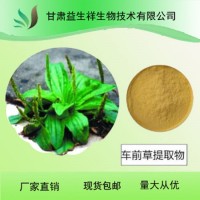 车前草提取物   益生祥  量大从优