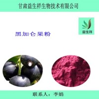 黑加仑粉 99% 黑加仑汁粉 喷雾干燥