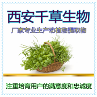 小白菊提取物 厂家专业生产植物提取物定做浓缩流浸膏