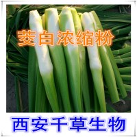 茭白提取物 茭白浓缩汁粉 厂家生产植物提取物 定做流浸膏