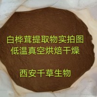 白桦茸提取物 厂家生产定做白桦茸浓缩浸膏白桦茸易溶颗粒