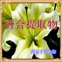 百合提取物水溶性植物提取物厂家 定制植物山百合浓缩浸膏