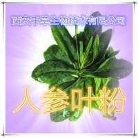 人参提取物 厂家生产全水溶植物提取物 定做流浸膏