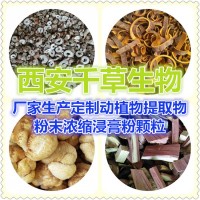 桃仁水溶粉药食同源 厂家生产提取物定做浓缩浸膏