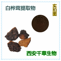 白桦茸浓缩粉浸膏 厂家生产定做白桦茸易溶颗粒