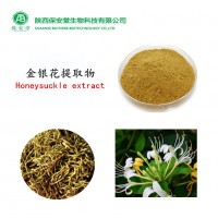 现货供应金银花提取物金银花粉绿原酸5%HPLC可定制