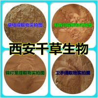 玄参提取物 厂家生产天然全水溶植物提取物 定做流浸膏