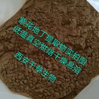 紫花地丁提取物 易溶 厂家生产植物提取物 纯浸膏颗粒