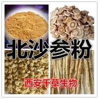 北沙参浓缩粉 厂家生产动植物提取物 定做北沙参流浸膏