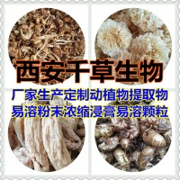 地棉根提取物 厂家定制植物提取物 定做浓缩浸膏