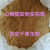 山楂浓缩粉药食同源 厂家生产植物提取物定做鼠查浓缩浸膏