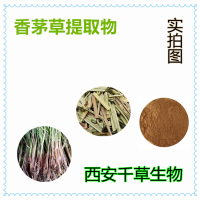 香茅草提取物 香茅草浓缩粉 香茅草浸膏粉 香茅草水溶粉