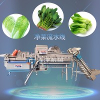 厂家销售全自动净菜加工生产线 连续式叶菜类加工流水线