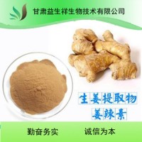 姜辣素 生姜提取物 姜辣素5%   量大从优 含运费