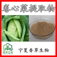 卷心菜提取物 卷心菜粉花椰菜提取物 莲花白提取物