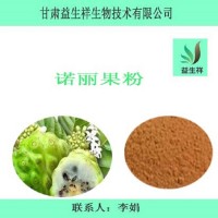 诺丽果果粉 99% 诺丽果速溶粉 喷雾干燥