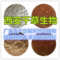 四叶参提取物 厂家生产植物提取物定做浓缩浸膏