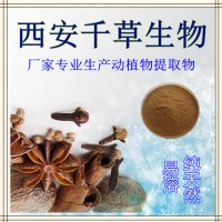 砂仁水溶粉厂家定制天然浓缩烘焙干燥砂仁粉