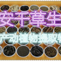 宽筋藤提取物 厂家生产植物提取物水溶粉定做浓缩浸膏