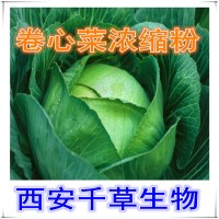 卷心菜天然提取物卷心菜浓缩粉