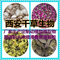 萝卜子提取物 厂家生产植物提取物浓缩粉易溶 定做流浸膏颗粒