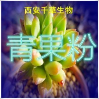 青果植物提取物专业按需定制天然浓缩低温烘焙干燥性味纯正易溶