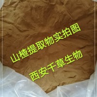 赤枣子提取物药食同源 厂家生产植物提取物定做浓缩浸膏