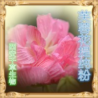 芙蓉花水溶粉 厂家定制芙蓉花浓缩浸膏