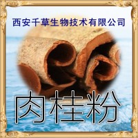 肉桂浓缩粉 厂家生产植物提取物定做桂皮浓缩浸膏