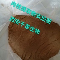 肉桂皮提取物 厂家供应优质植物浓缩水溶粉 定做牡桂浓缩浸膏