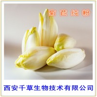 菊苣速溶粉菊苣浓缩粉厂家专业定制植物浓缩纯浸膏