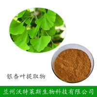 白果/银杏提取物 白果粉 植物提取 量大从优