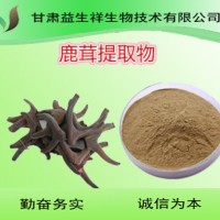 鹿茸提取物10:1  鹿茸粉   一公斤起订