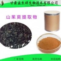 山茱萸提取物   山茱萸速溶粉  甘肃益生祥